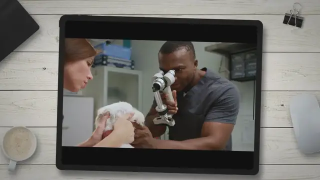 Video thumbnail for 10 Common Pet Care Mistakes to Avoid