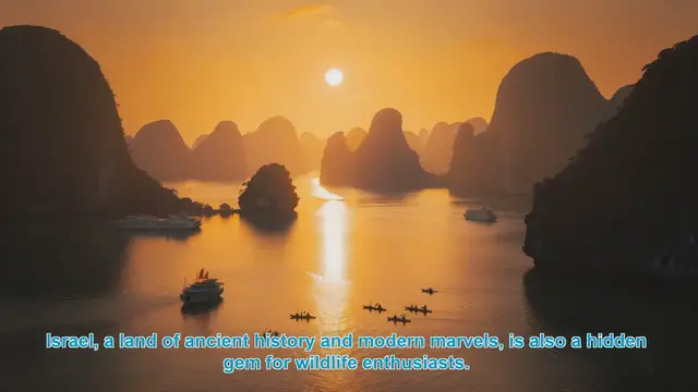 Video thumbnail for Exploring Israel's Top 10 Wildlife Hotspots