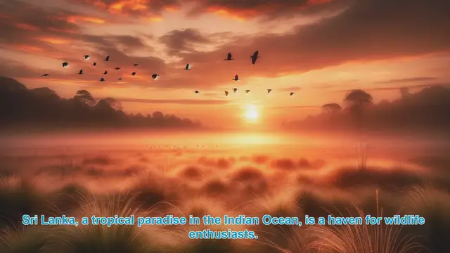 Video thumbnail for Discover Sri Lanka's Top 10 Wildlife Destinations
