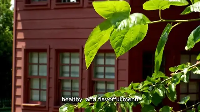 Video thumbnail for Tender Greens Menu