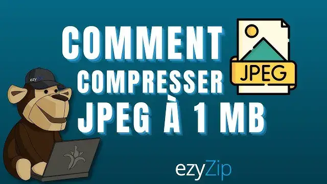 'Video thumbnail for Comment compresser JPEG à 1 MB | Réduisez la taille du JPEG (par exemple, à 100 KB/200 KB/500 KB)'