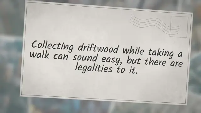'Video thumbnail for Is It Legal To Collect Driftwood'