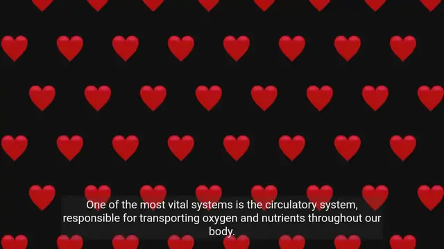 Video thumbnail for Exploring the Human Body: A Biology Journey