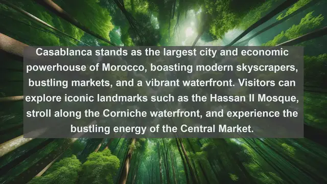 Video thumbnail for Exploring Morocco: Top 10 Largest Cities in the Enchanting North African Country