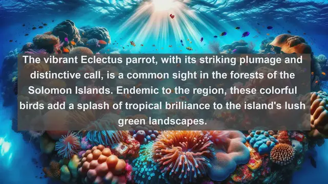 Video thumbnail for Untamed Beauty of the Solomon Islands: Top 10 Native Animals