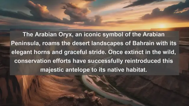 Video thumbnail for Discover Bahrain's Hidden Wildlife Gems: Top 10 Native Animals in Bahrain