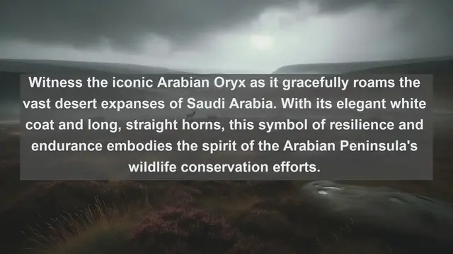 Video thumbnail for Unveiling Saudi Arabia's Natural Wonders: Top 10 Native Fauna Revealed