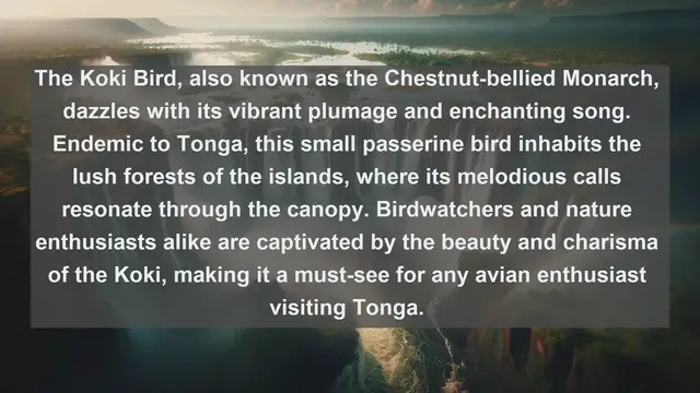 Video thumbnail for Wings of Paradise: Discover Tonga's Top 10 Native Birds