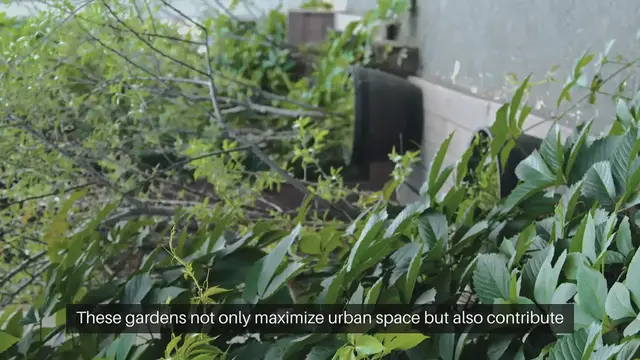 Video thumbnail for Rooftop Vegetable Garden Design