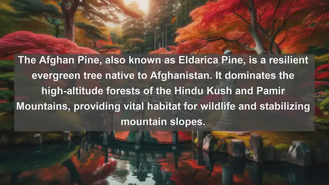 Video thumbnail for Exploring Afghanistan's Botanical Treasures: Top 10 Native Flora Revealed!