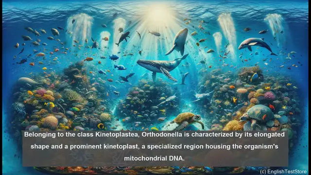 Video thumbnail for Orthodonella in biology