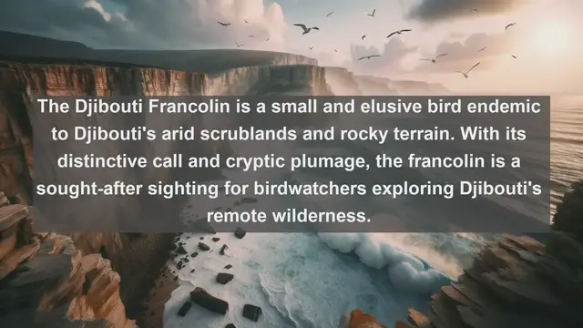 Video thumbnail for Discover Djibouti's Wildlife: Top 10 Native Animals in Djibouti