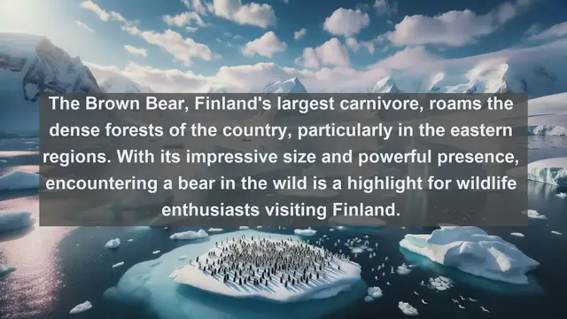 Video thumbnail for Discovering Finland's Natural Wonders: Top 10 Native Fauna
