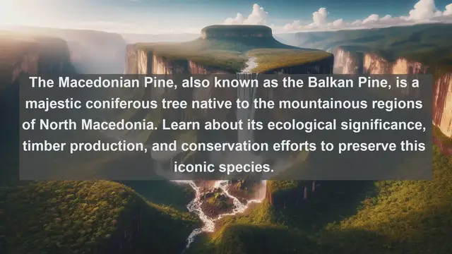 Video thumbnail for Exploring North Macedonia's Natural Beauty: Top 10 Native Flora Revealed!