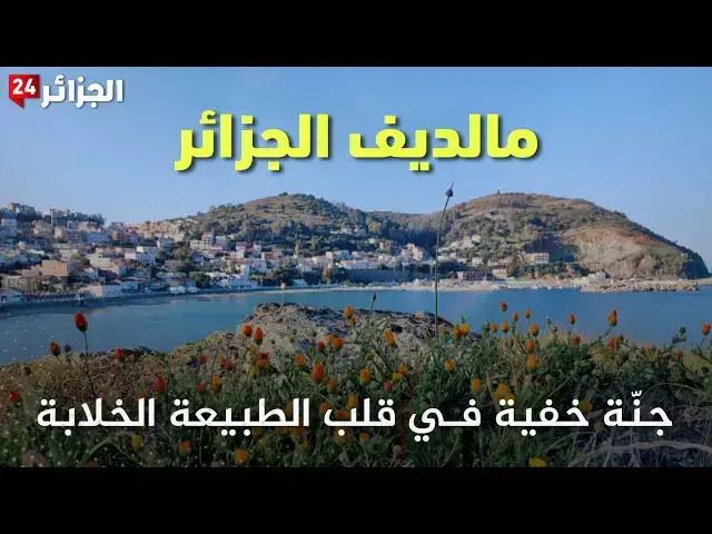 'Video thumbnail for خليج شطايبي في الجزائر.. جنة خفية في قلب الطبيعة الخلابة'