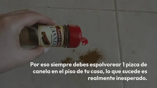 Video thumbnail for Tira 1 pizca de canela al suelo, el truco que lleva décadas funcionando