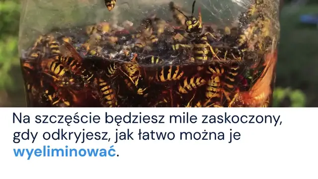 Video thumbnail for Pluskwy w domu? Niesamowita sztuczka, dzięki której znikną z Twojego domu