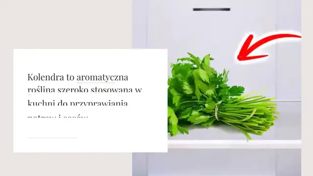 Video thumbnail for Pomysłowa sztuczka, dzięki której kolendra pozostaje świeża nawet przez miesiąc w lodówce