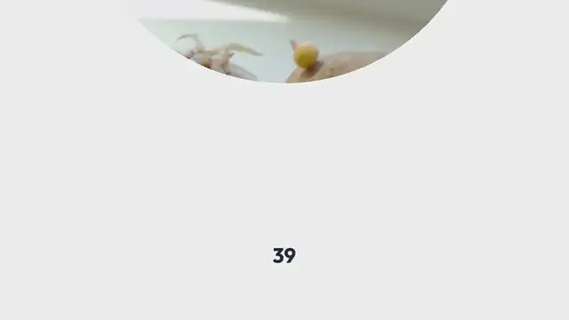 Video thumbnail for Grow Prolific Potato Harvests Vertically with DIY Towers