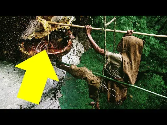 Video thumbnail for The Shocking Secrets Drive Nepalese Collectors To Climb Giant Cliffs !