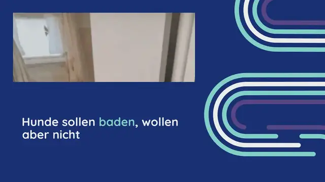 Video thumbnail for Hunde sollen baden, wollen aber nicht – wie ihr Besitzer sie trotzdem überzeugt, ist wirklich clever
