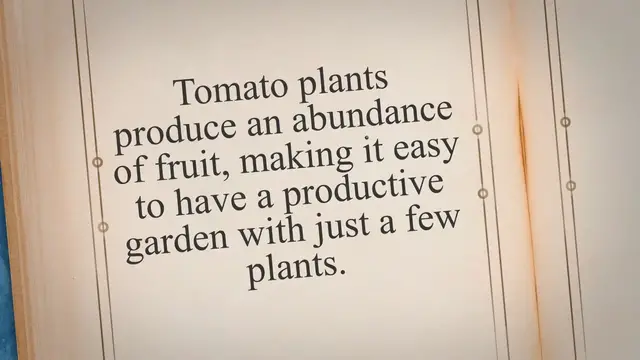 Video thumbnail for How Many Tomato Plants Per Family