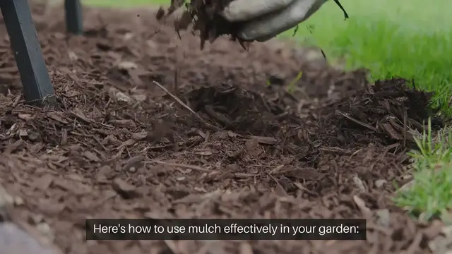 Video thumbnail for How To Use Mulch In Your Landscape Design