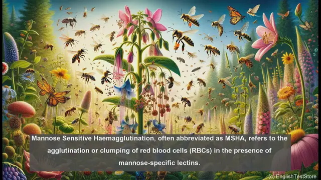 Video thumbnail for Mannose sensitive haemagglutination in biology