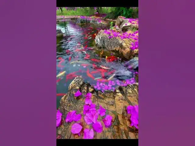 'Video thumbnail for Beautiful colouring Fish #fishing #shortvideo #fantasy #slime'