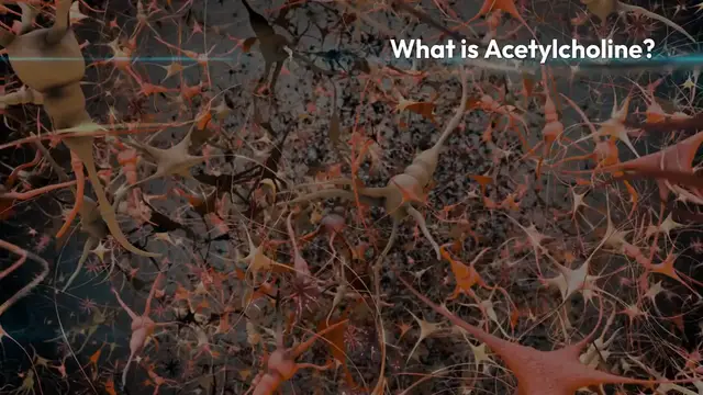 Video thumbnail for Boosting_Acetylcholine_Naturally