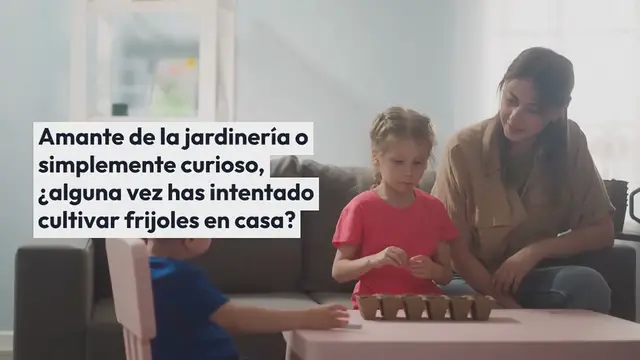 Video thumbnail for Los secretos para una siembra exitosa de frijol: todo lo que debes saber