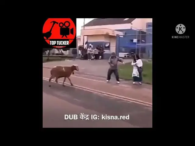 Video thumbnail for very very funny videos comedy#👌👌👌👌👌#🤣😂😂😂😂😂😂🤣 top tucker @#channel pleass subscribe#@#@@#@#@