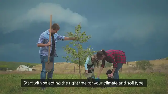 Video thumbnail for Indoor Herb Garden Tips