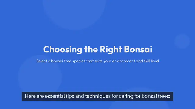 Video thumbnail for Bonsai Tree Care Tips and Techniques