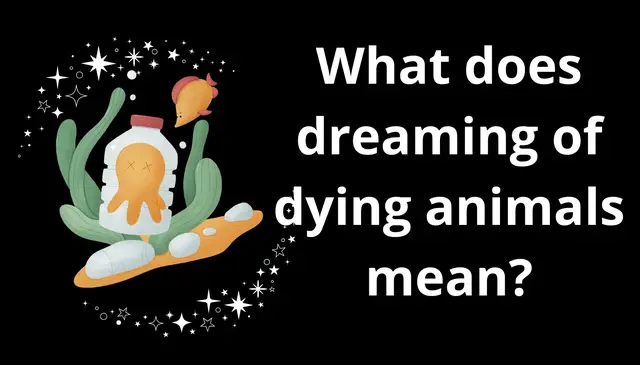 Video thumbnail for What does dreaming of dying animals mean?