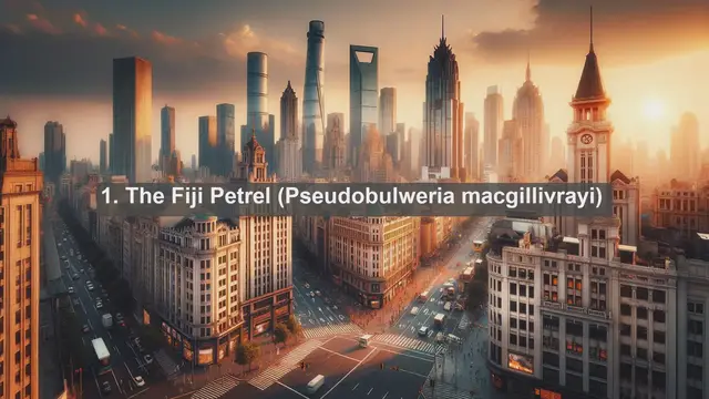 Video thumbnail for Discovering Fiji's Avian Treasures: Top 10 Native Birds of the Islands