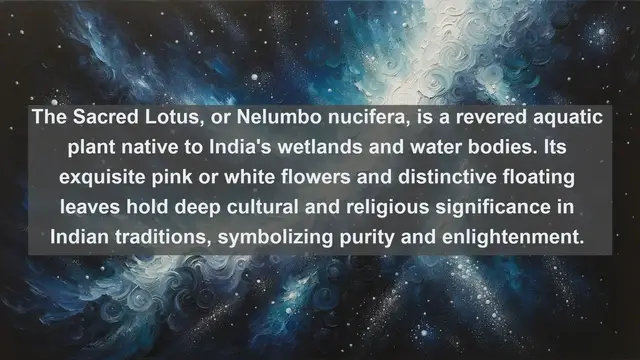 Video thumbnail for Exploring India's Natural Jewels: Top 10 Native Flora You Can't Miss!