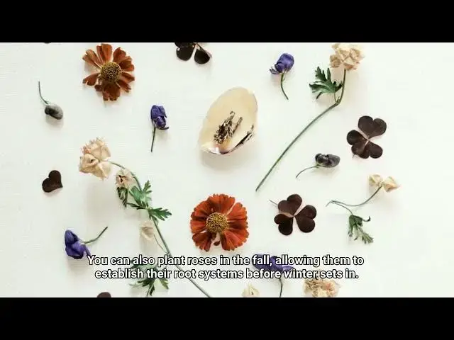 Video thumbnail for Best Time To Plant Roses