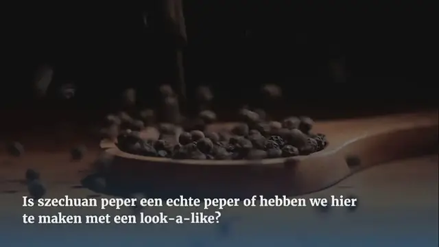 Video thumbnail for Wat is szechuan peper?
