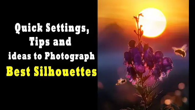 Video thumbnail for Quick Settings, Tips, and ideas to Photograph best Silhouettes   Manual Mode Photography