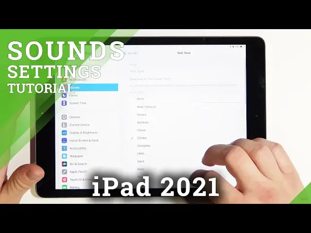 'Video thumbnail for How to Set Custom Notification Sound on iPad 2021 – Adjust Sound Settings'