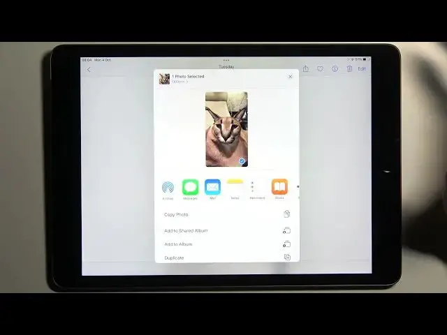 Video thumbnail for How to Hide Photos on iPad 2021 - Manage Gallery Settings on iPad 9th