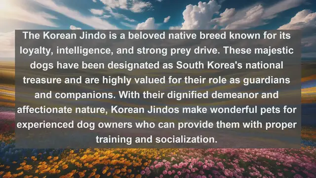 Video thumbnail for Discover South Korea's Top 10 Favorite Pets: A Guide to Furry Companionship