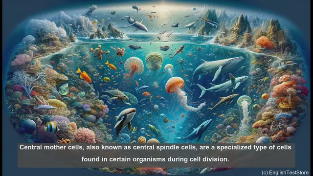 Video thumbnail for Central mother cells in biology