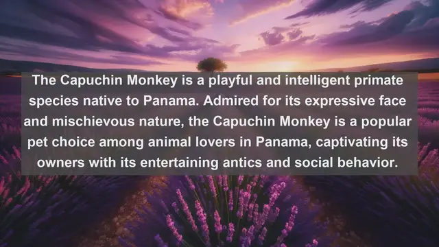 Video thumbnail for Discover Panama's Beloved Companions: Top 10 Favorite Pets Revealed!