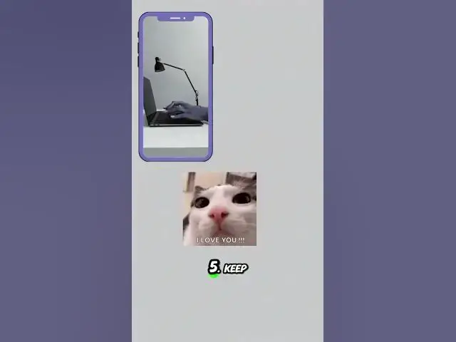 Video thumbnail for How to make your cat happy  #shorts #youtubeshorts #cat #subscribe #funny