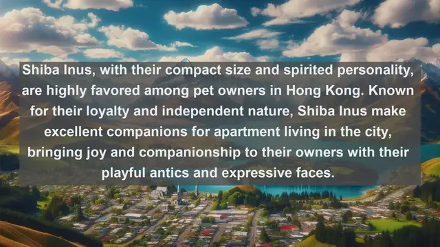 Video thumbnail for Exploring the Beloved Pets of Hong Kong: Top 10 Favorites Revealed