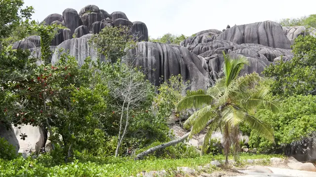 Video thumbnail for Grande Soeur, Ausflug ab La Digue | Seychellen