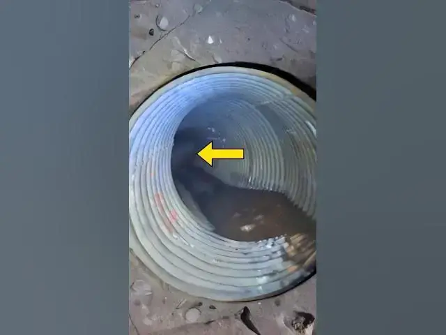 Video thumbnail for Hikers Discover Hidden Tunnel In Cave!