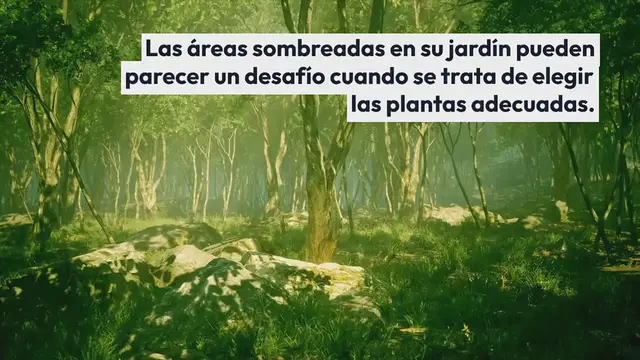Video thumbnail for Las 5 mejores plantas que prosperan a la sombra en tu jardín